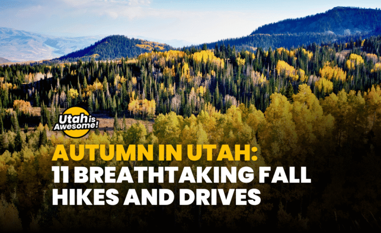Autumn in Utah: 11 breathtaking fall hikes and drives